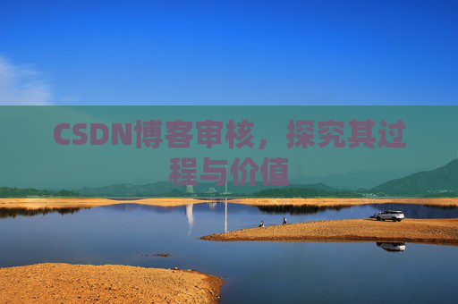 CSDN博客审核,探究其过程与价值